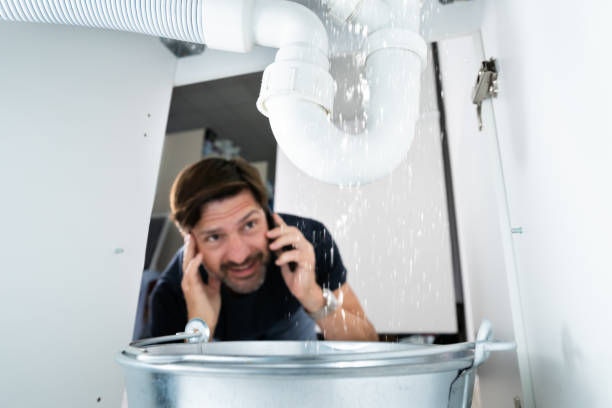 Best Local Plumber Services  in Marquette, MI